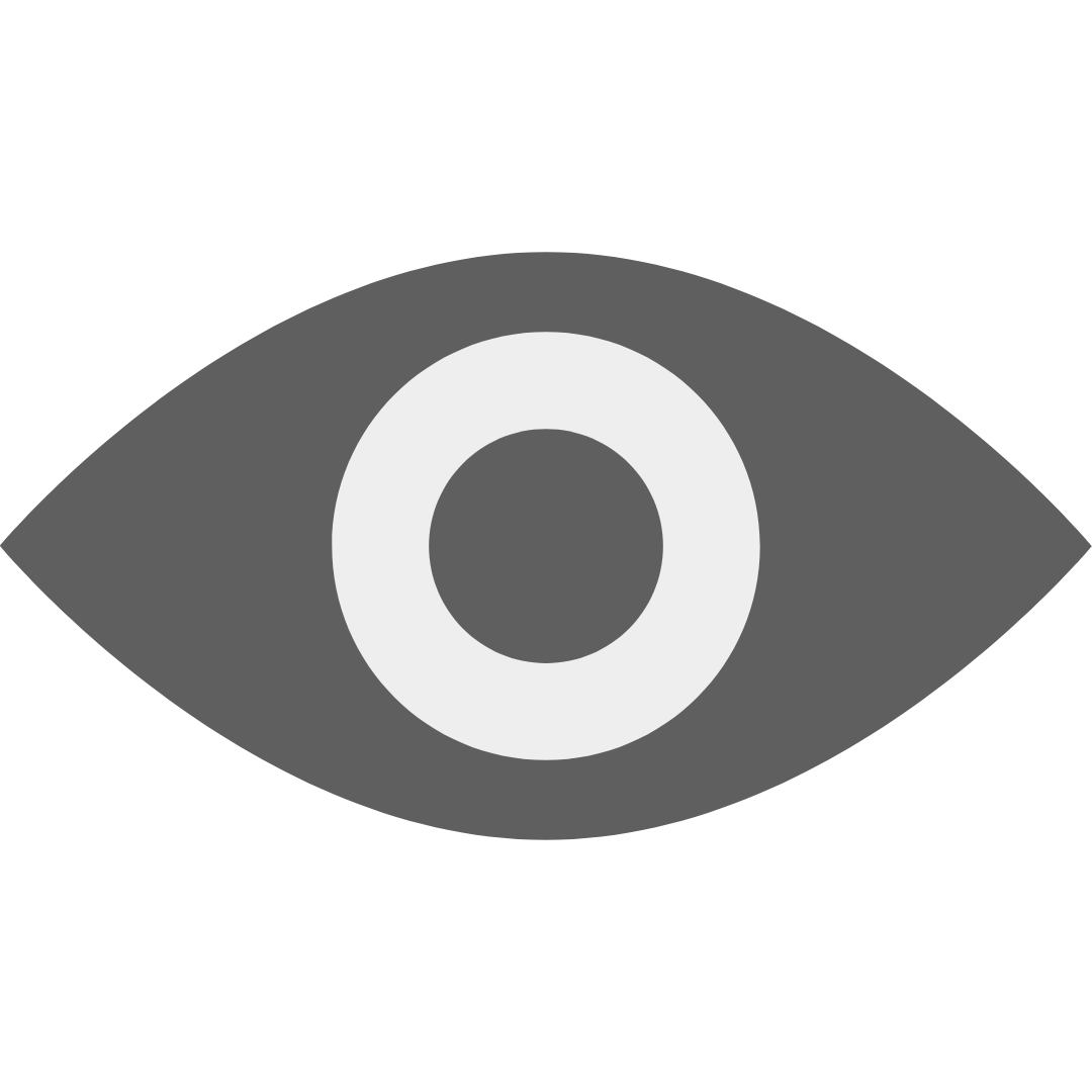 Vision icon